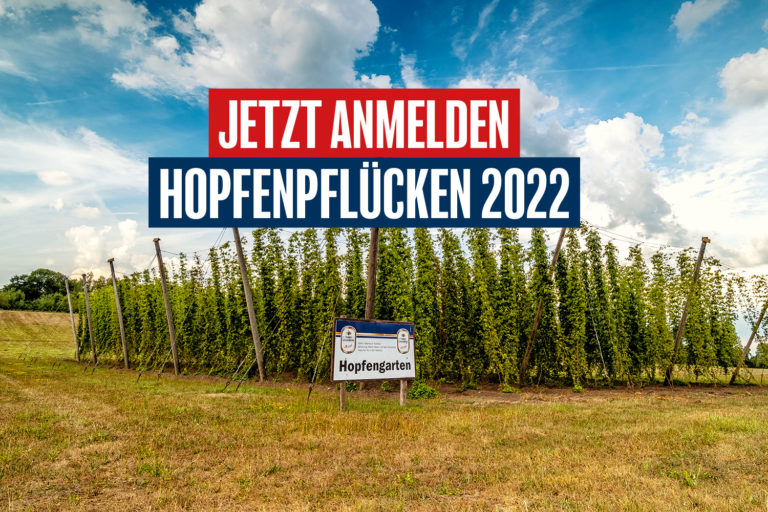 Das große Hopfenpflücken 2022