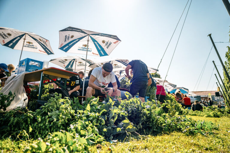 Fest der Hopfenernte 2025